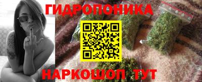 прущие крисы Кулебаки
