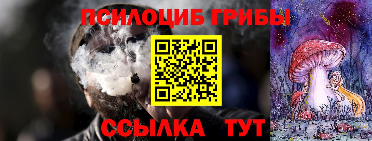 Жигулёвск  Псилоцибиновые грибы GOLDEN TEACHER  Вход с VPN 
