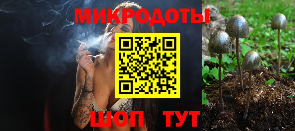 Псилоцибиновые грибы мицелий Жигулёвск